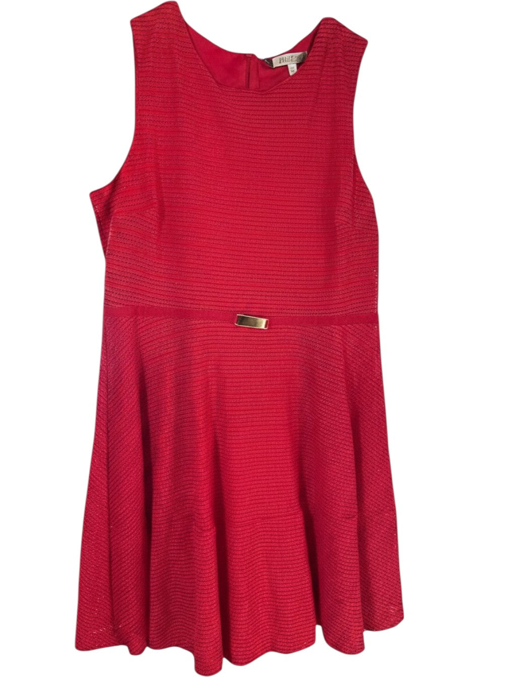 Jennifer Lopez Fit and Flare Dress