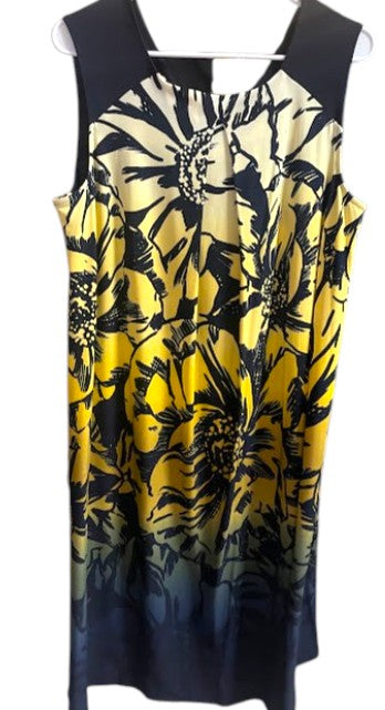 Dressbarn Est. 1946 Gradient Shift Dress