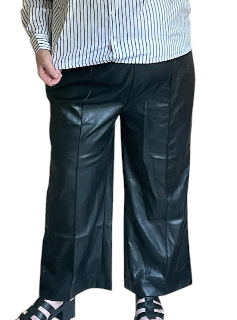 Soft Surroundings Soft Stretch Faux Leather Pant